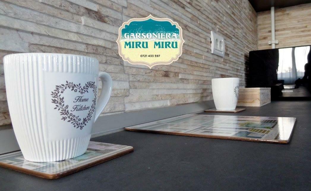 Garsoniera Miru Miru Apartman Năvodari Kültér fotó